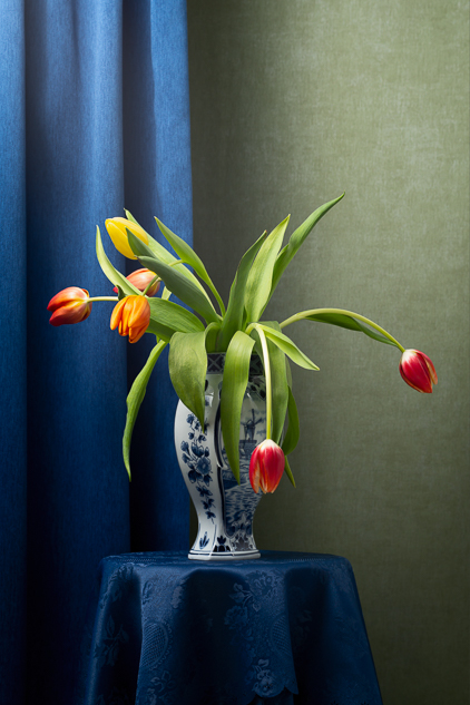 Stilleven Tulp Delfts Blauw